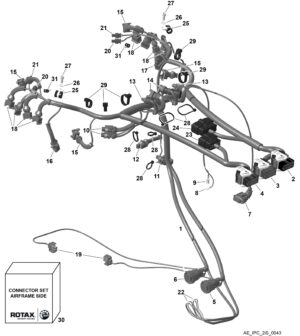 ECU and Wiring Harness
